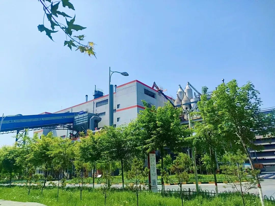 1745367290472187.jpg 4.jpg